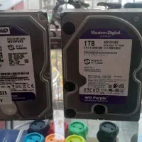 هارد 1ترا بنفش