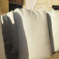 فروش کاه گندم سفید|لوازم جانبی حیوانات|شوشتر, |دیوار