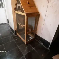 قفس پرنده