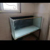 آکواریم با پایه و وسایل