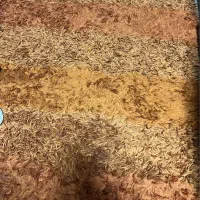 فرش|فرش|تهران, دریا|دیوار