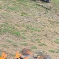 500 متر زمین باغی در ابارش کوچه دانشگاه