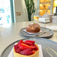 نیروی خانم پیستری