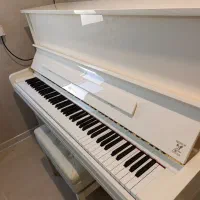 پیانو آکوستیک وبر ۱۲۱ ( Weber 121 )