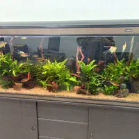 آکواریوم ۱۵۰ ماهیران