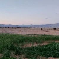 زمین نه دی خ گل ارا