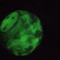 باسلام یکسری سنگهای باستانی بفروش میرسد