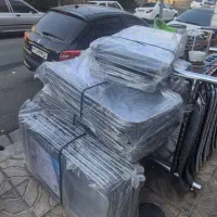 فروش بندرخت به قیمت عمده