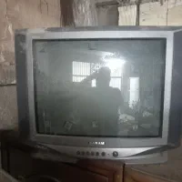 تلویزیون