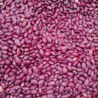 لوبیا قرمز درجه یک دست چین شده مدل ازنایی دونه ریز