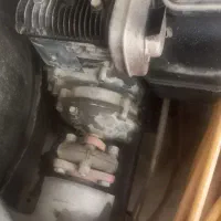 سمپاش باغبانی|خدمات باغبانی و درختکاری|سلماس, |دیوار