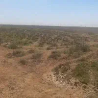 فروش زمین