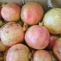 انار و اب انار رامشه|خوردنی و آشامیدنی|رامشه, |دیوار