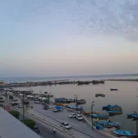 اجاره واحد آپارتمان مسکونی اداری دفتری عسلویه|اجارهٔ آپارتمان|عسلویه, |دیوار