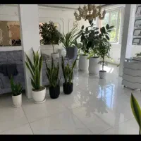 وکیل پایه یک دادگستری /مشاوره حضوری رایگان/چک،طلاق