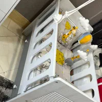 تخت نوزاد و کودک