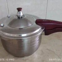 زودپز رویال آلمان 6لیتری فلاکس رگال شیشه صورتی