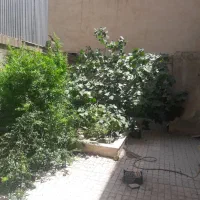 طبقه-همکف