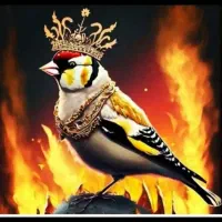 سهره ماده کارداده