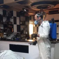 شرکت سمپاشی با مجوز رسمی ساس،کک،کنه و.. درمازندران