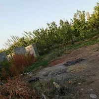 فروش باغ|فروش زمین و ملک کلنگی|یامچی, |دیوار