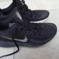 کتونی اورجینال|کیف، کفش، کمربند|مراغه, |دیوار