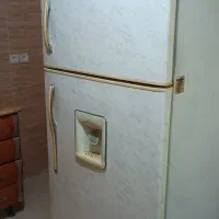 یخچال فریزر الکترواستیل