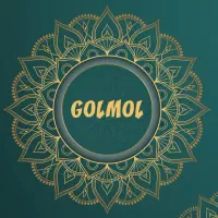 استخدام ویزیتور