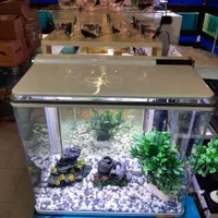 آکواریوم آبتین با ۲۵ سال سابقه در شهرک گلستان|ماهی|شیراز, شهرک گلستان|دیوار