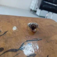 انگشتر.شجر پایه ولی