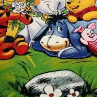 گلیم فرش برای اتاق خواب کودک.