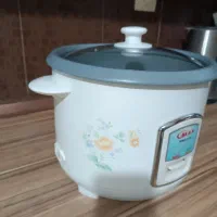 پلو پز max|اجاق گاز و لوازم برقی پختوپز|شیراز, گویم|دیوار