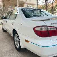 ماکسیما ۸۲|خودرو سواری و وانت|یزد, |دیوار