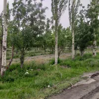 زمین-کاهو-دانش-500متری