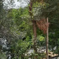 ۵۳متری نوساز و کلیدنخورده ،دیلمان شمالی(ویوی پارک)|فروش آپارتمان|ری, دیلمان|دیوار