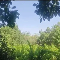 باغ-1520متر-در-دستخرد