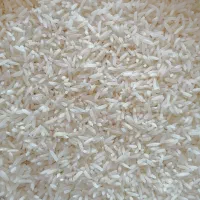 لاشه طارم ممتاز، درشت و معطر|خوردنی و آشامیدنی|کردکوی, |دیوار