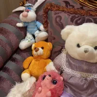 تعداد  ۱۲ عدد عروسک های قشنگ وبادوام|اسباب‌بازی بچه|شیراز, معالی‌آباد|دیوار