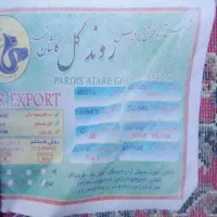 اسباب بازی فرش|فرش|خواف, |دیوار