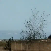 زمین مشارکت در ساخت سرخرود|مشارکت در ساخت املاک|سرخرود, |دیوار