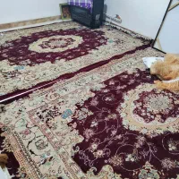 فرش 6متری|فرش|کومله, |دیوار