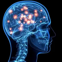 استخدام منشی خانم درمطب