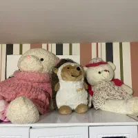 عروسک|اسباب و اثاث بچه|رشت, فلسطین|دیوار