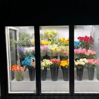 کانتینر سردخانه ای|فروشگاه و مغازه|شیراز, شهرک صنعتی شیراز|دیوار