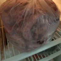 اسکلت مرغ