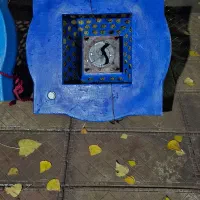 اسپلش پرورش ماهی|ماهی|چهارباغ, |دیوار