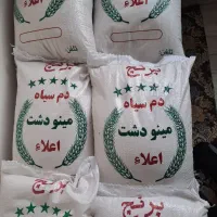 برنج دم سیاه پاییزه اعلاء مینودشت