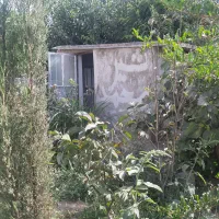 فروش باغچه و زمین|فروش زمین و ملک کلنگی|باقرشهر, |دیوار