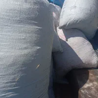 علف باغی یونجه