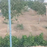 اجرای ابیاری قطره ای ساخت استخرساختمانآلاچیق باغ|خدمات باغبانی و درختکاری|ساوه, |دیوار